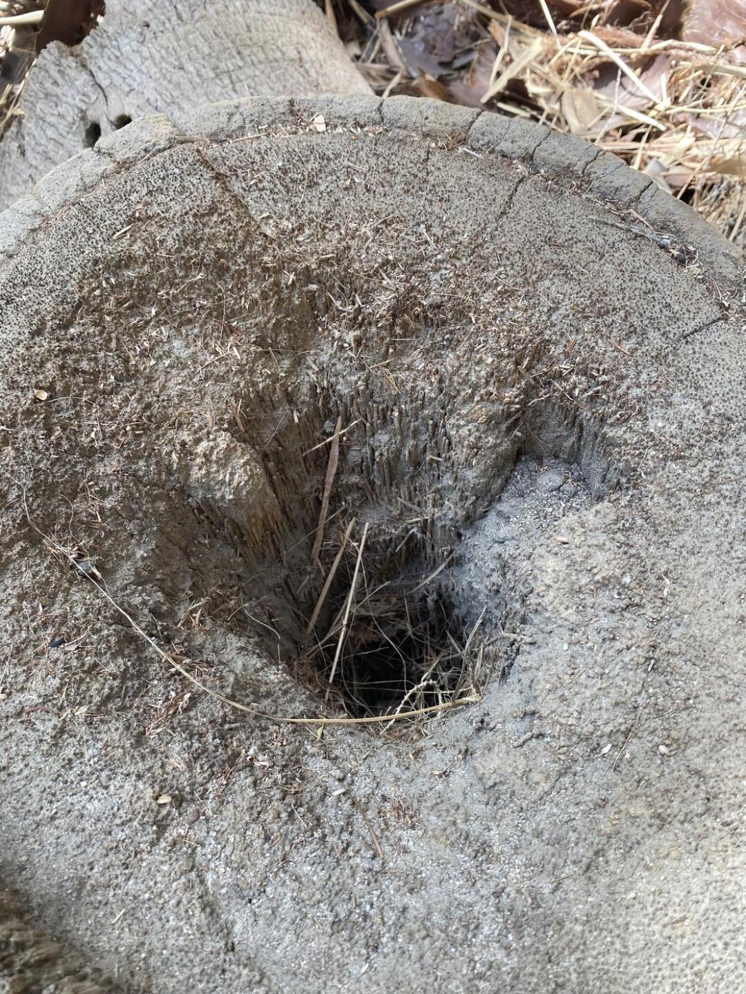 (Photo submitted by u00000256987 on 04/28/2022)