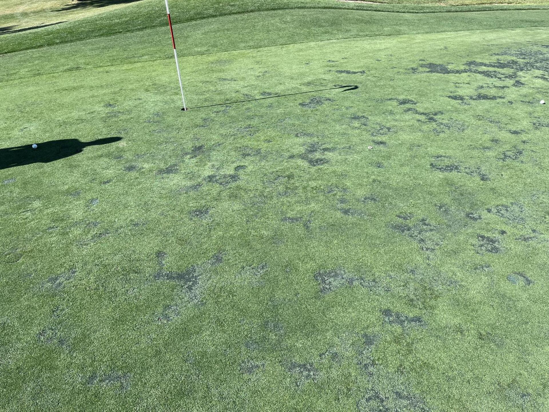 (Photo submitted by Sportdad1 on 05/30/2023)