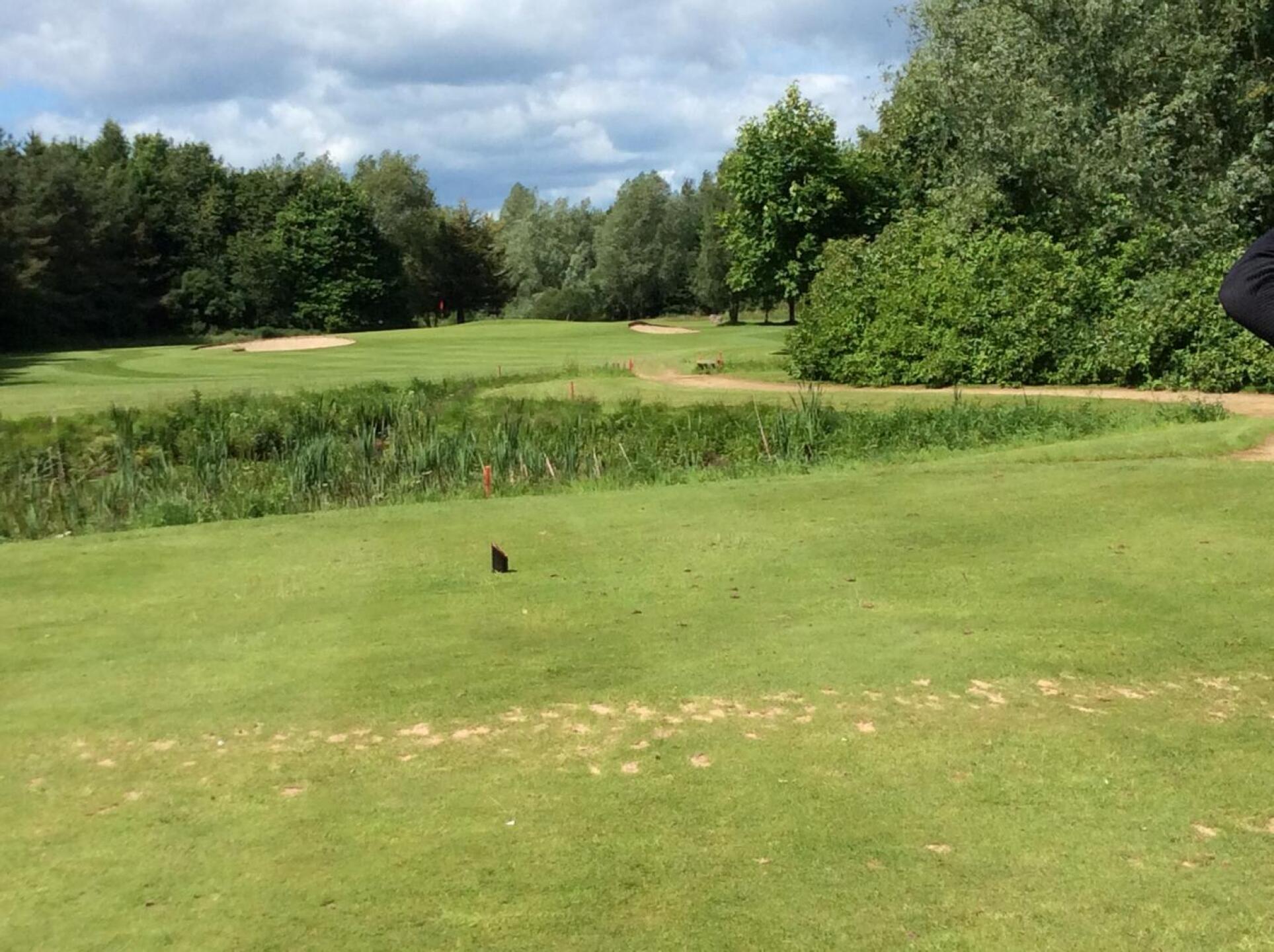 (Photo submitted by u082276276 on 06/09/2024)