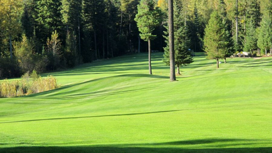 Priest Lake GC: #13, #14