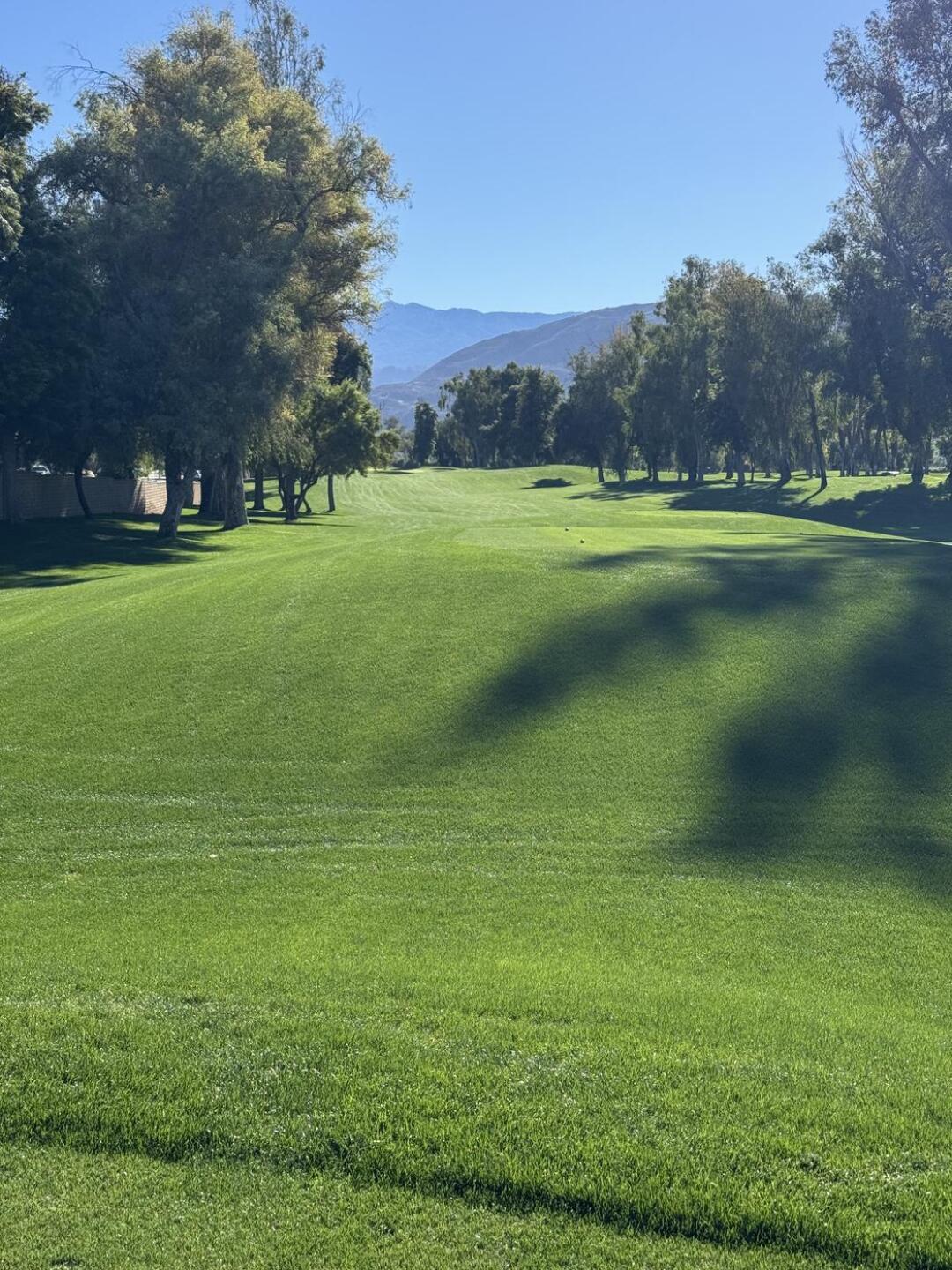 (Photo submitted by u282031050 on 04/17/2026)