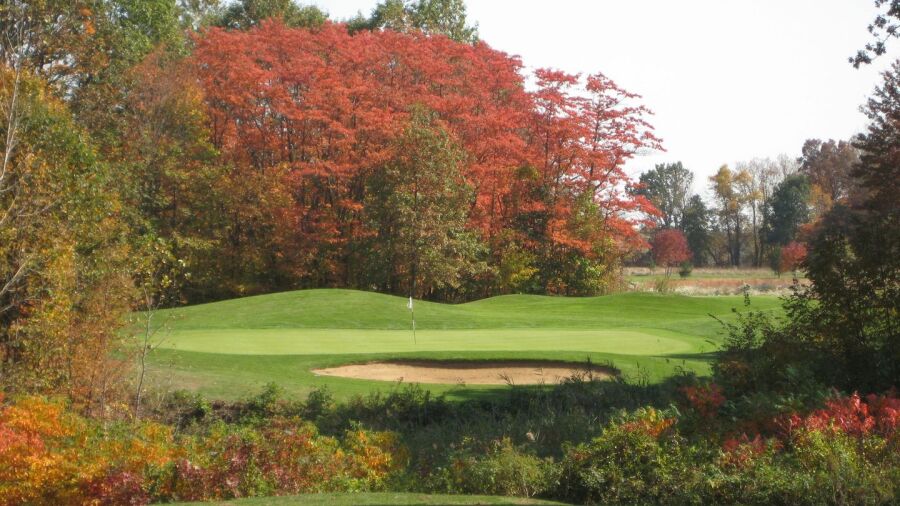 Whittaker Woods GC: #12