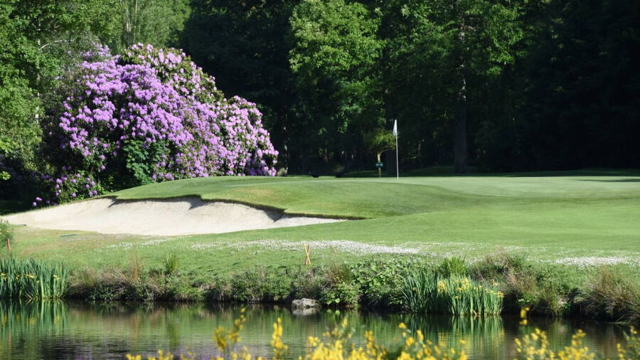 Isabella GC: #17