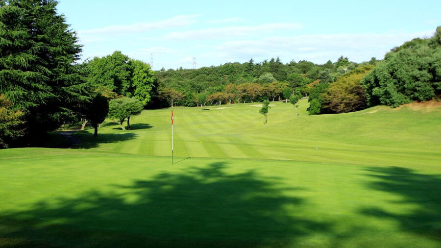 Kisaichi CC - Pine: #4