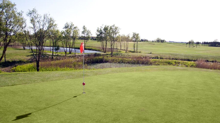 Skegness GC: #9