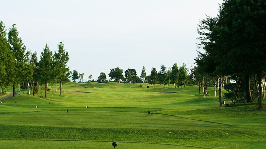 Echigo GC: #1