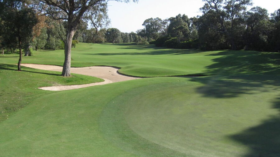 Meadow Springs CC