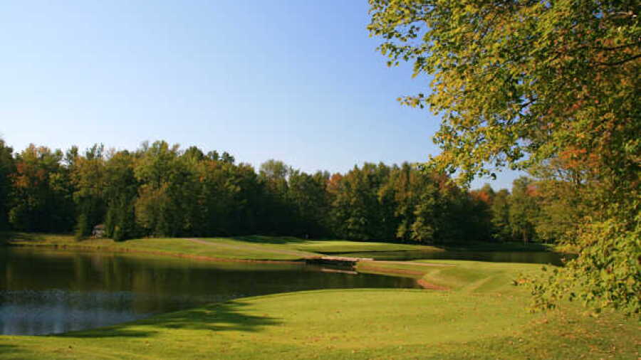 Winding Hollow: #5