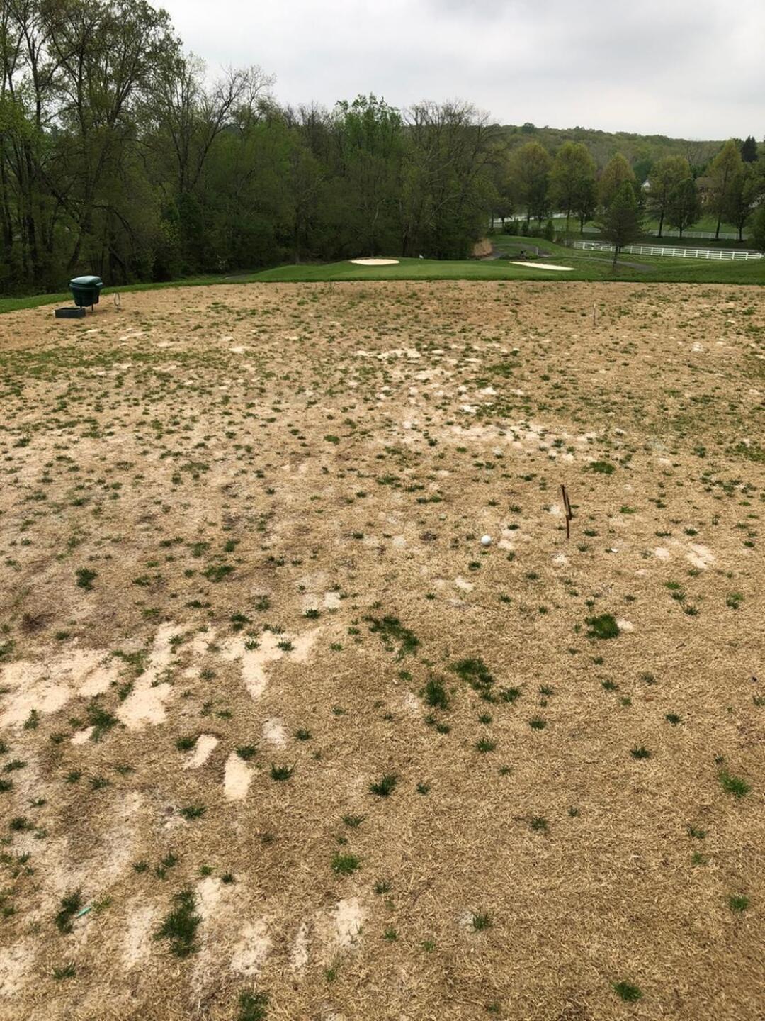 "Tee box" on 5 - all of them were like this (Photo submitted by DrOldSchool on 05/06/2018)