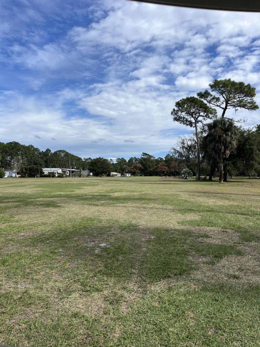 (Photo submitted by t1ouEmmw3eiq3eT4FOJm on 11/03/2025)