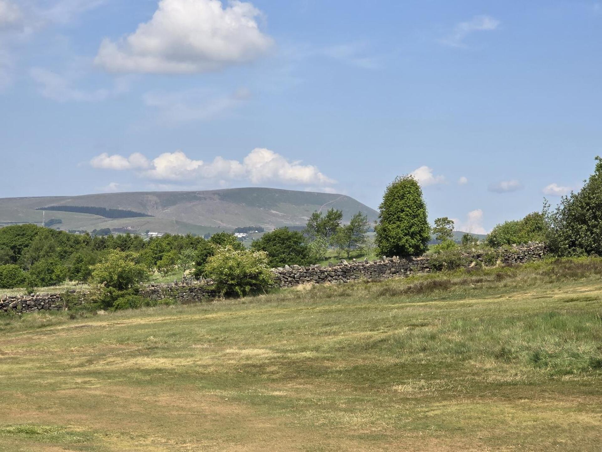 (Photo submitted by sj8z7ujd8mDu5tc2Fo9E on 05/22/2025)