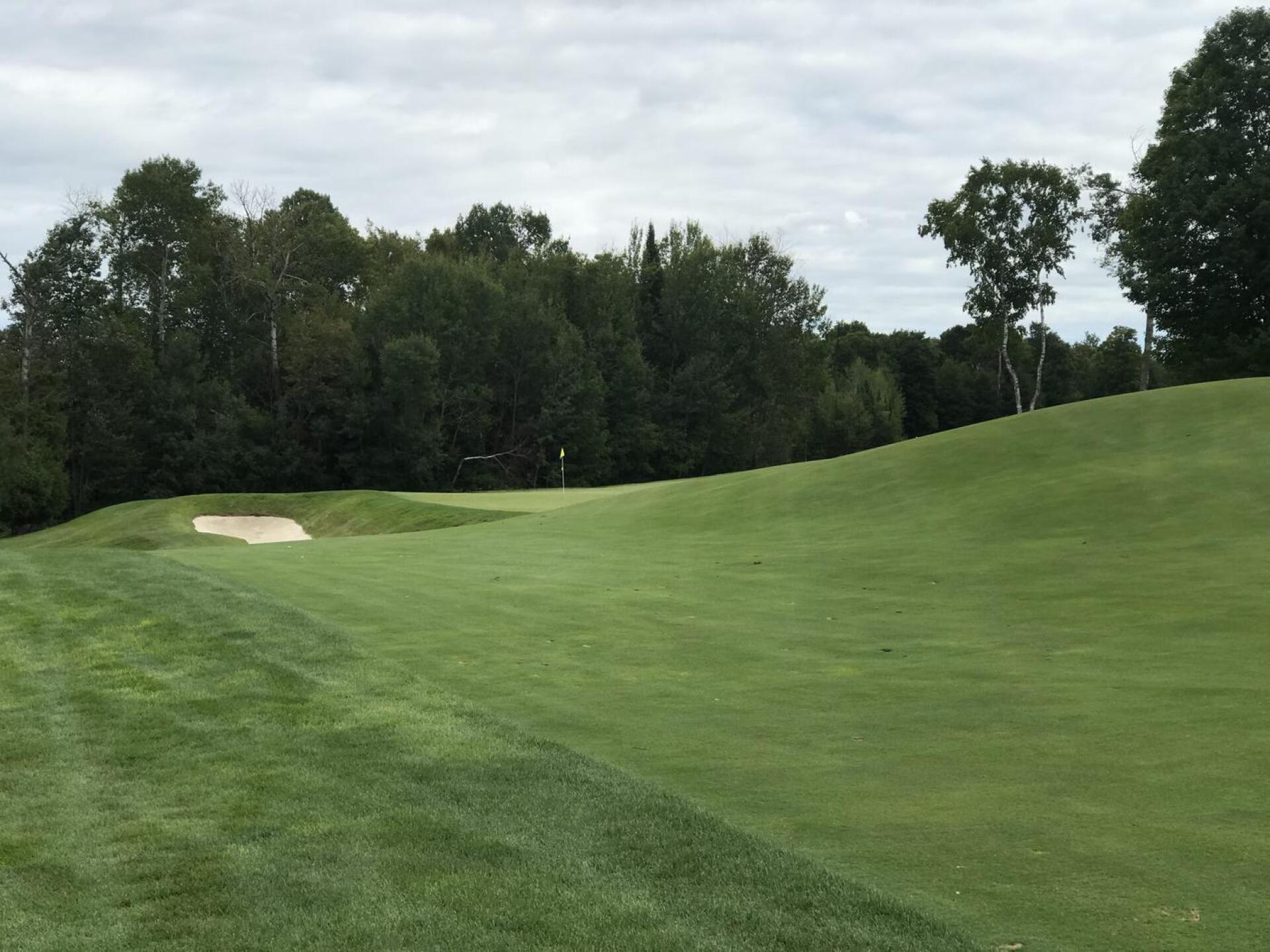 (Photo submitted by BrandonTuckerGA on 11/22/2020)