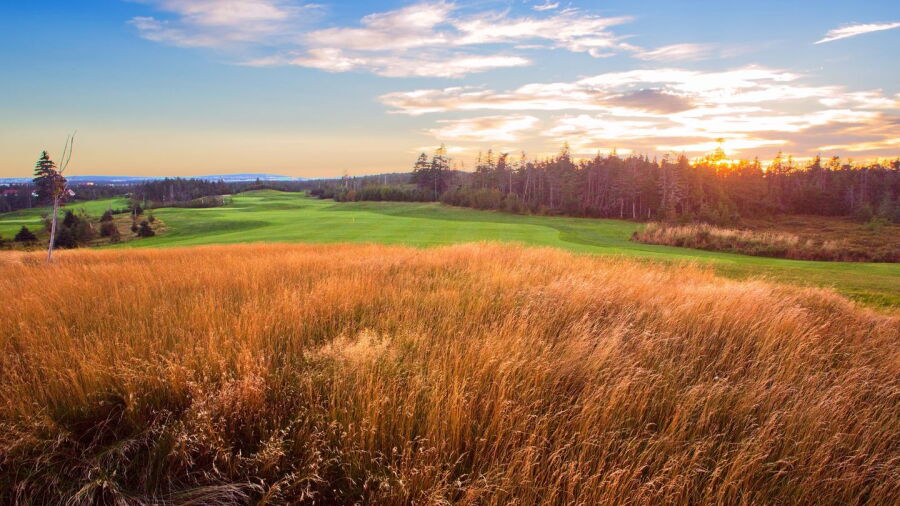 Clovelly GC - Black Duck: #4