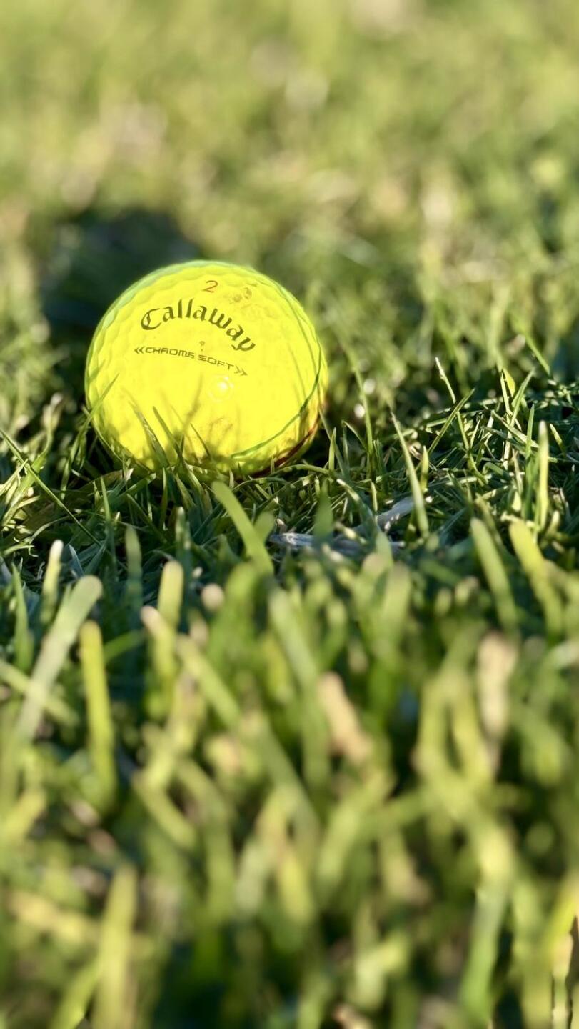 (Photo submitted by Bijan92 on 01/13/2025)