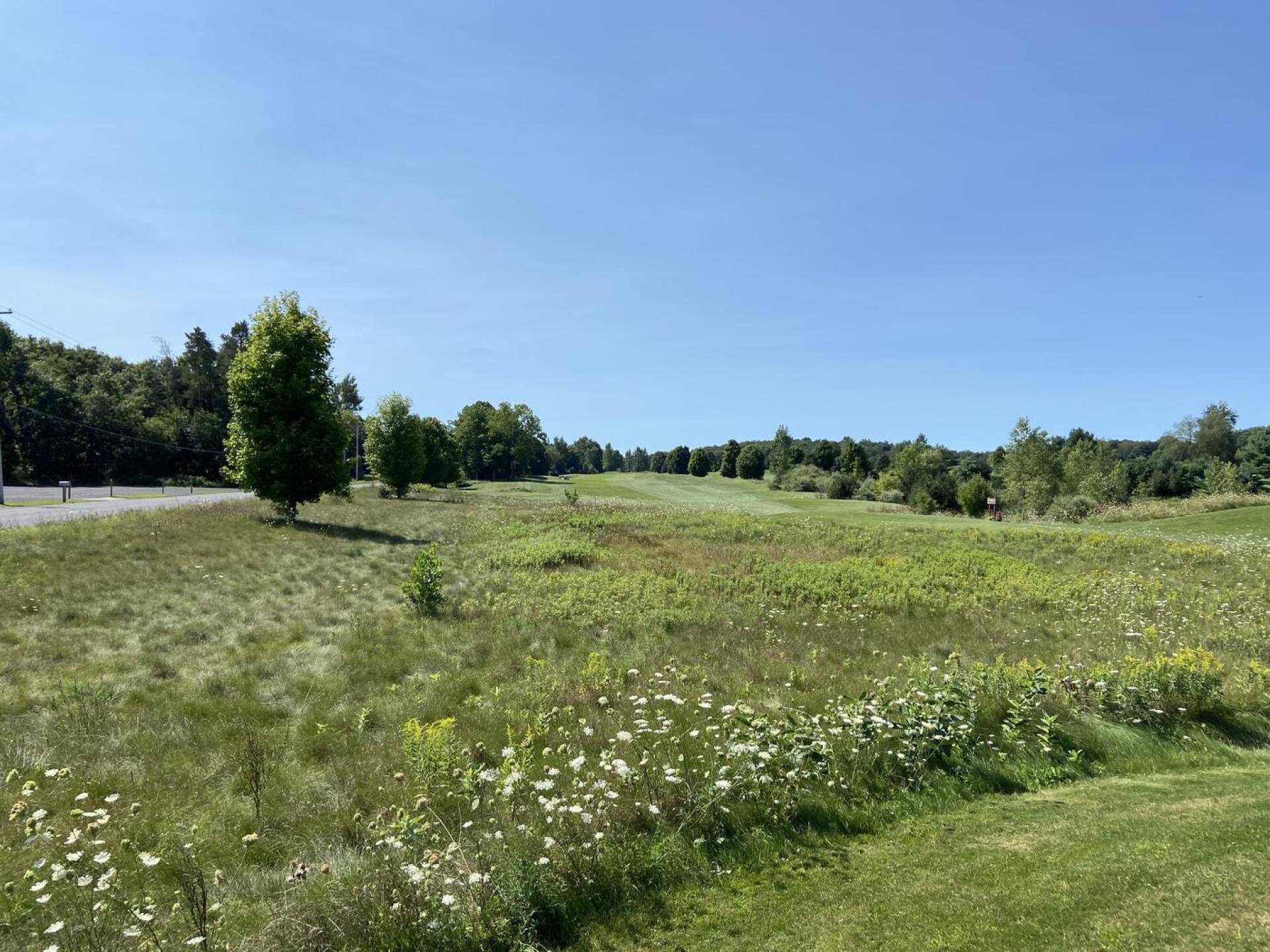 (Photo submitted by u183373765 on 09/01/2023)