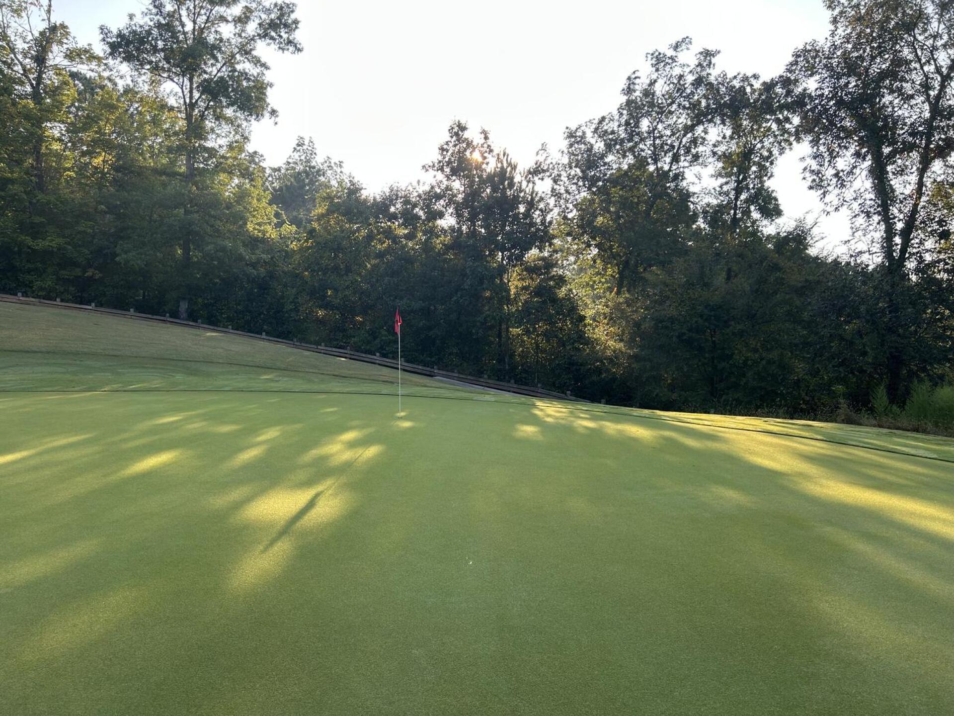 (Photo submitted by IXbXx163ykhz1JBXLnLy on 09/06/2025)