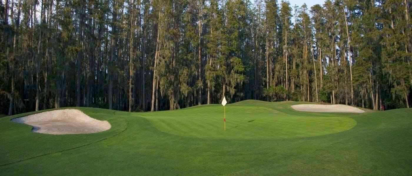 Saddlebrook Course