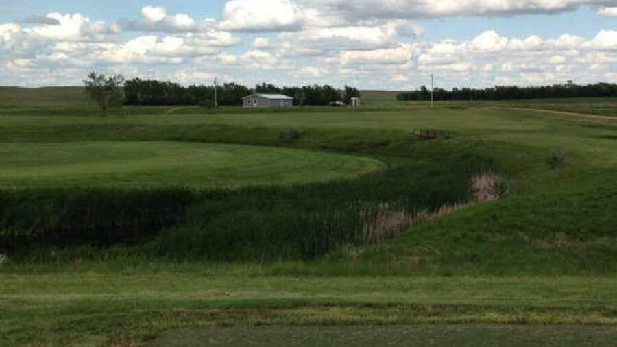 Bison CC