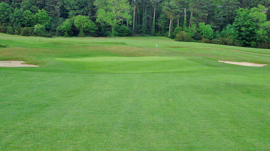 Delgany GC: #14