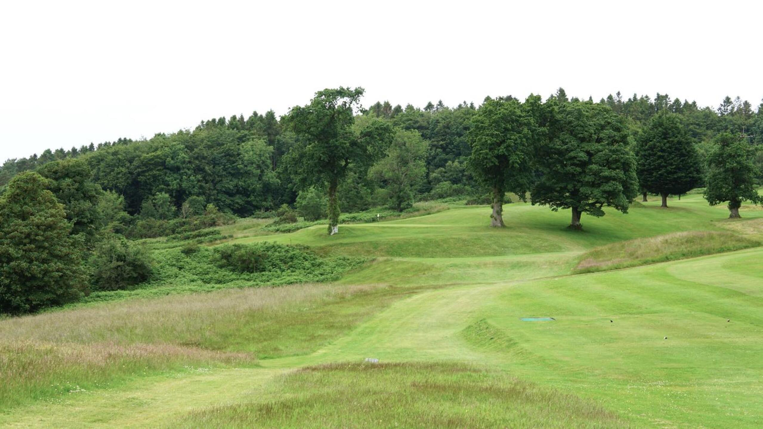 Third: The trees beside this first par-3 on the course (of five) may reject the errant tee shot. Uphill from the tee, 172 yards. (Photo submitted by AptlyLinked on 07/08/2024)