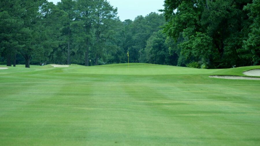 Elizabeth Manor CC: #4