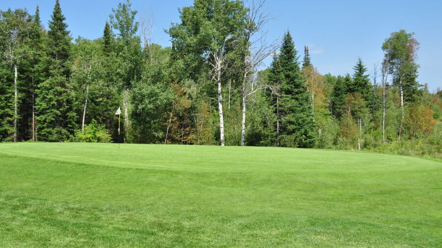 Forest Ridge CC