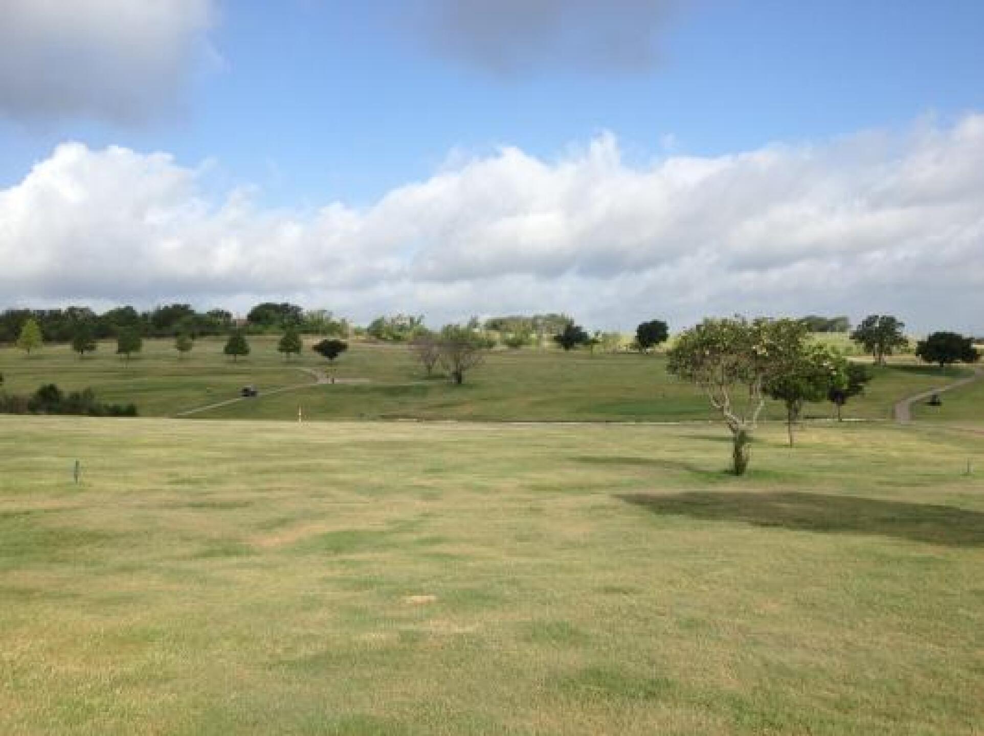 View of the 1st green while standing in the fairway. (Photo submitted by timothyfish on 06/14/2013)