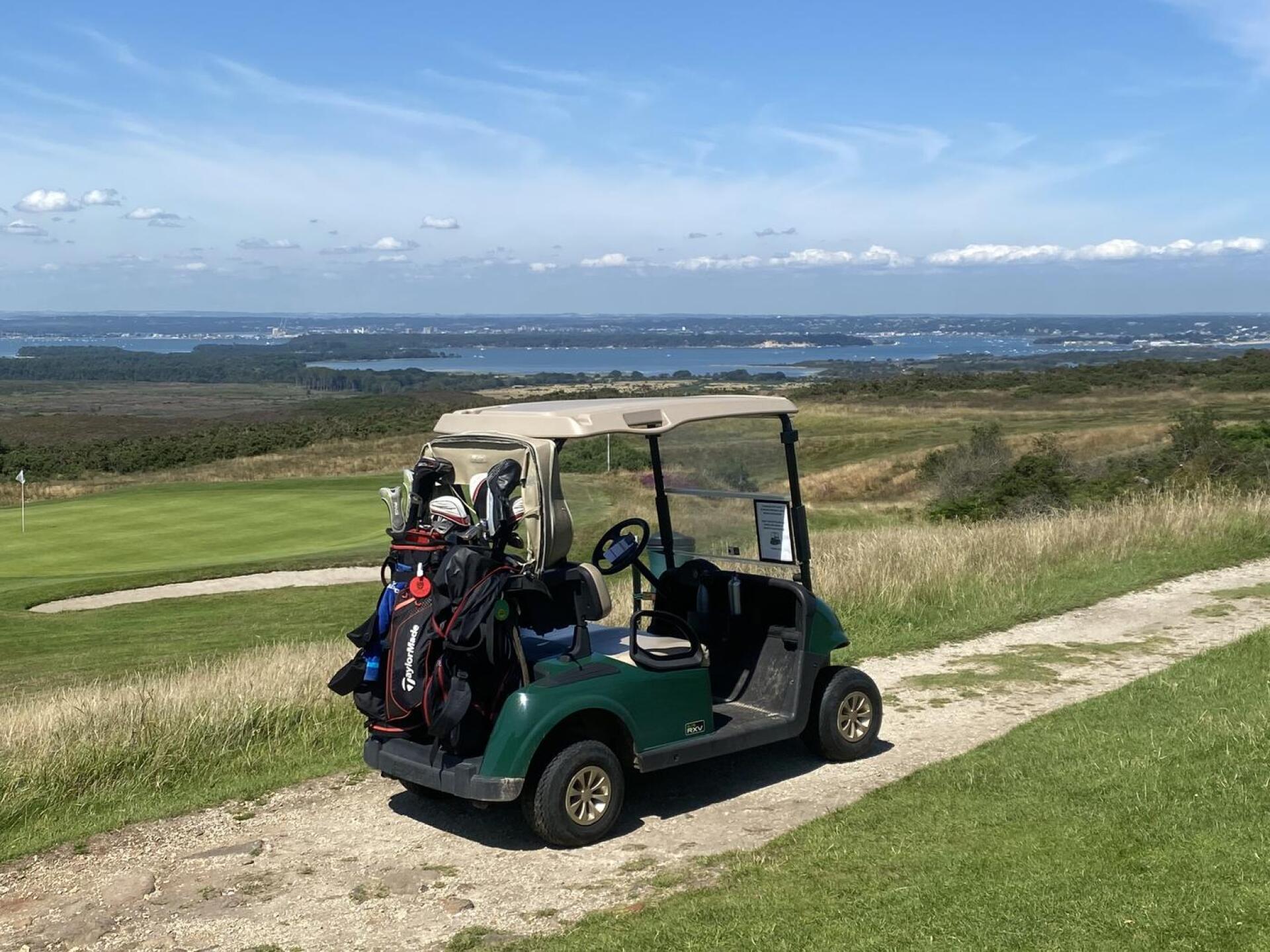 (Photo submitted by u5555706 on 07/29/2024)