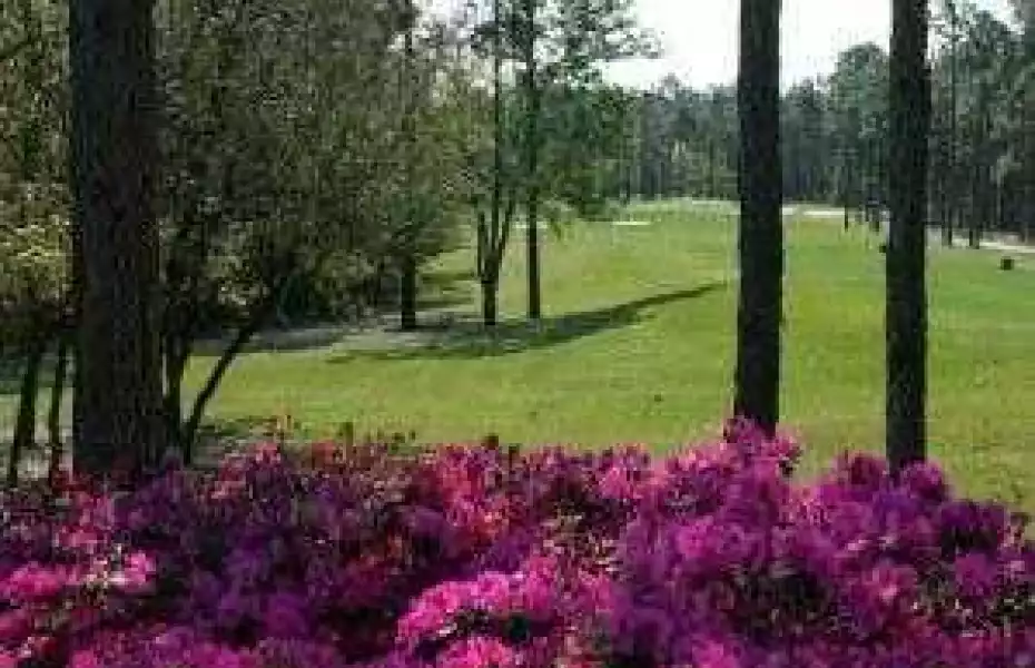 Members Club at St. James Plantation