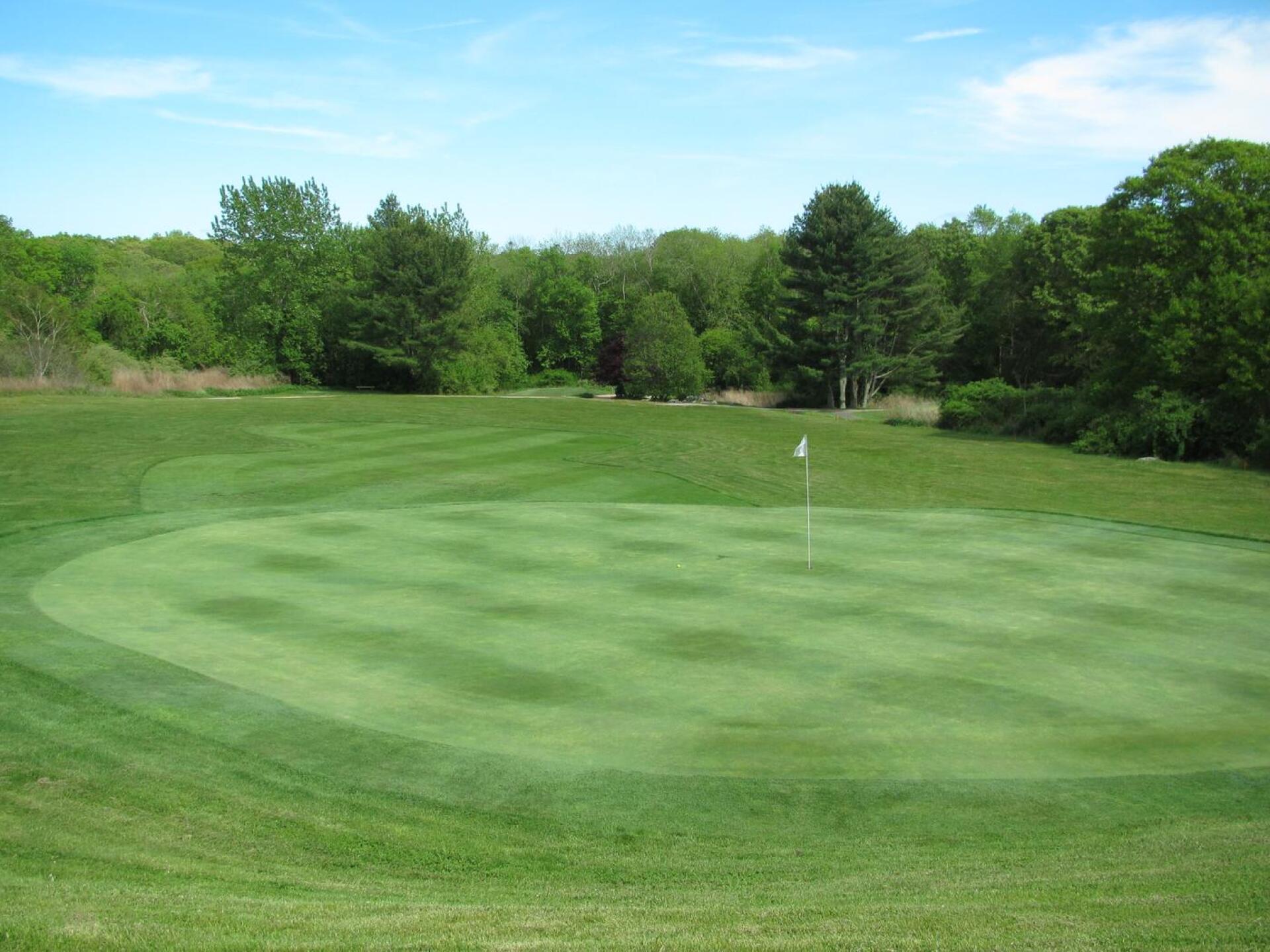 Fine Golden Age design: This green's frontal shelf rejects less-than-pure or off-line approaches, which travel uphill from nearly 200 yards. Pars are hard-won at nine. (Photo submitted by AptlyLinked on 05/29/2020)