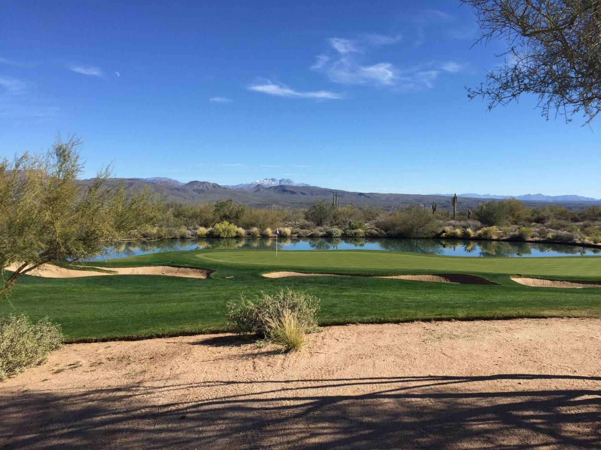 (Photo submitted by mustradib on 01/24/2016)