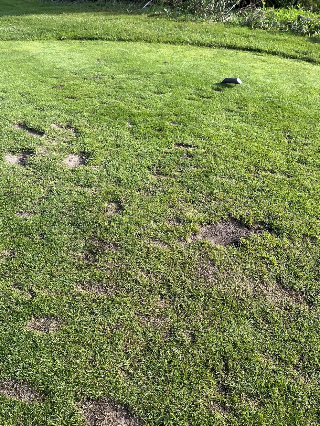 (Photo submitted by u010304911 on 08/24/2024)