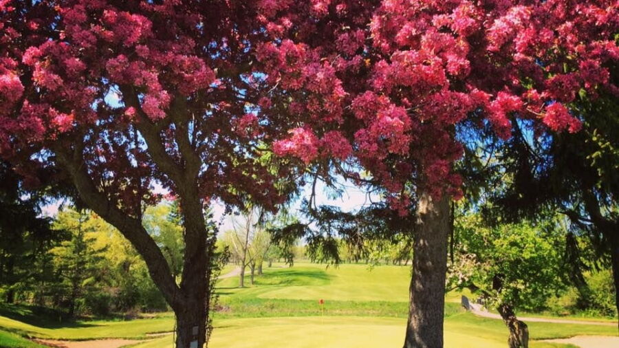 Bridgewater CC