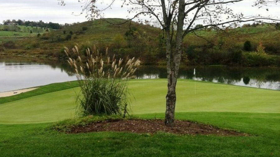 Glenrochie CC