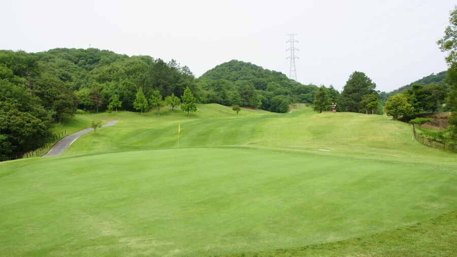 Rotary GC - New: #16