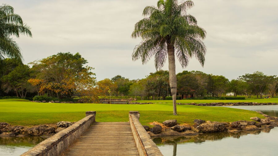 Guavaberry GCC: #15