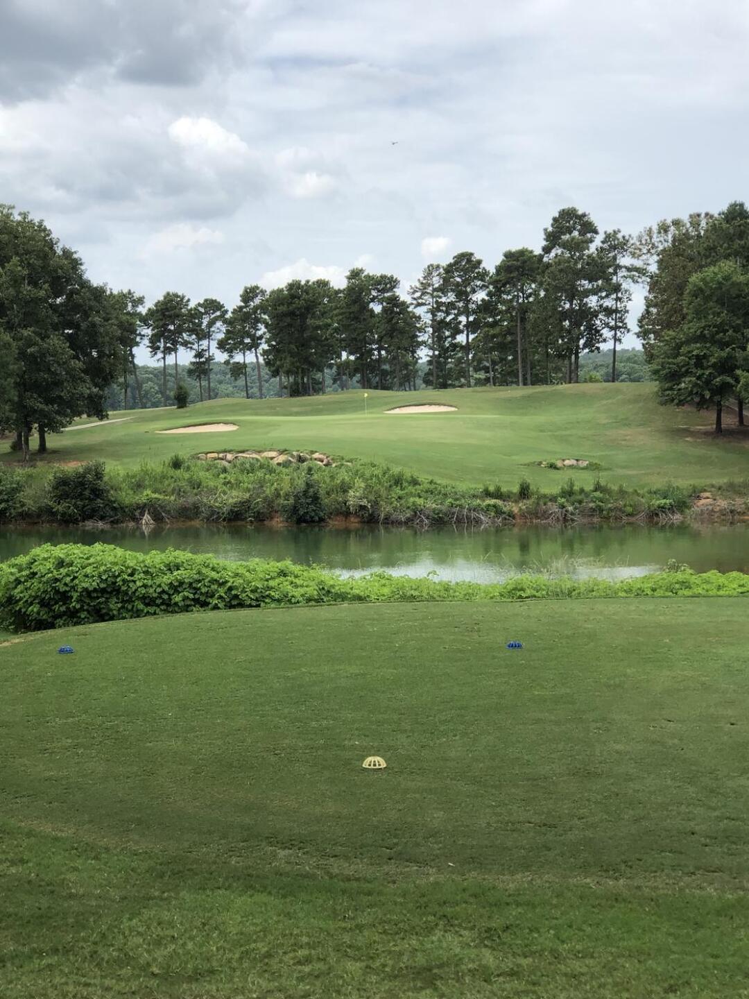 (Photo submitted by X91nuPe7AgyBvawQ67wt on 08/02/2022)