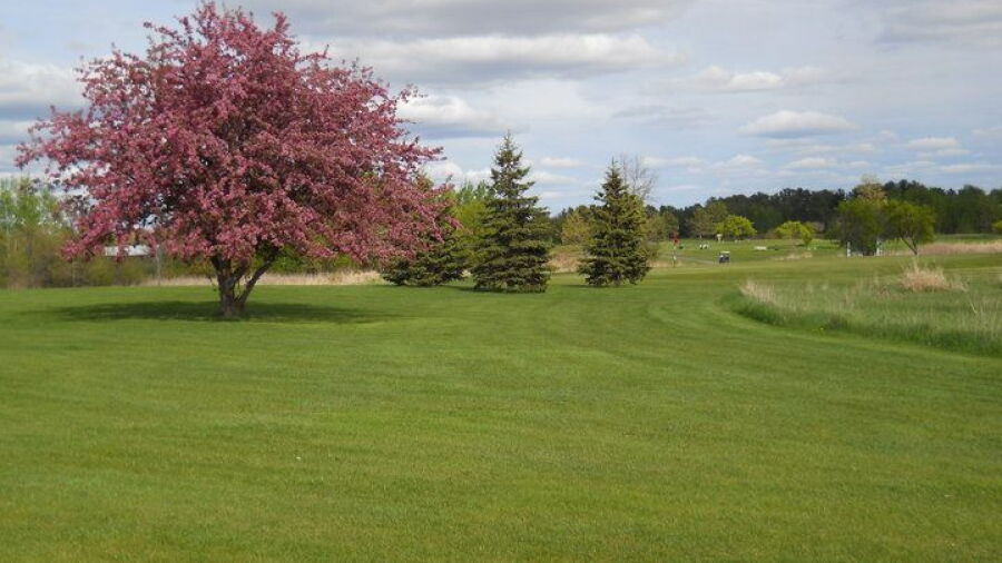 Pine City CC: #4