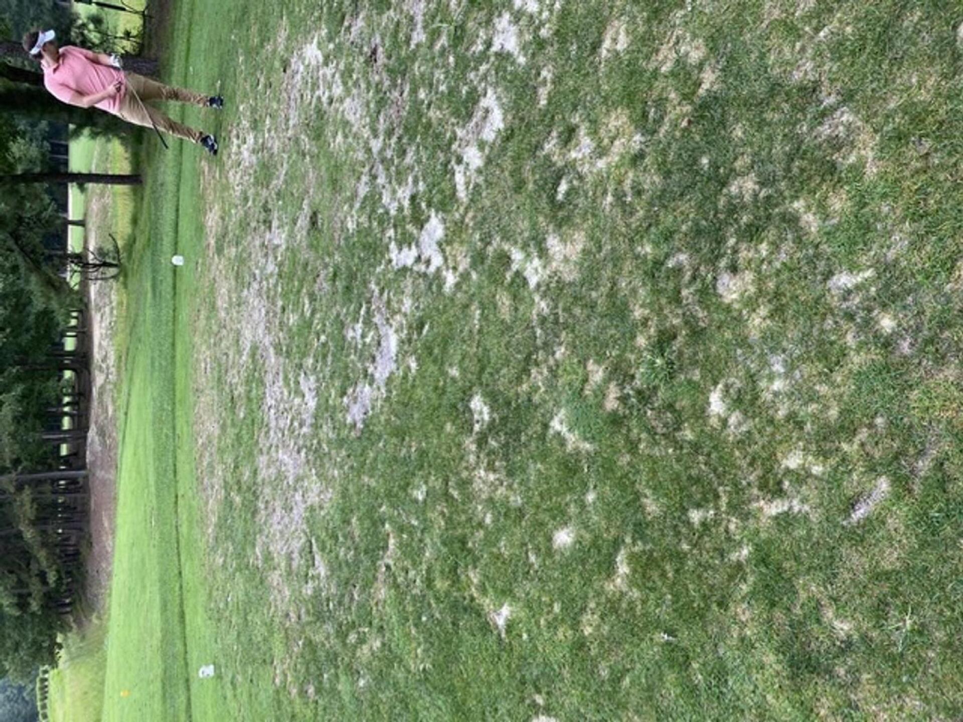 Tee box (Photo submitted by MattyC6964000 on 08/29/2021)