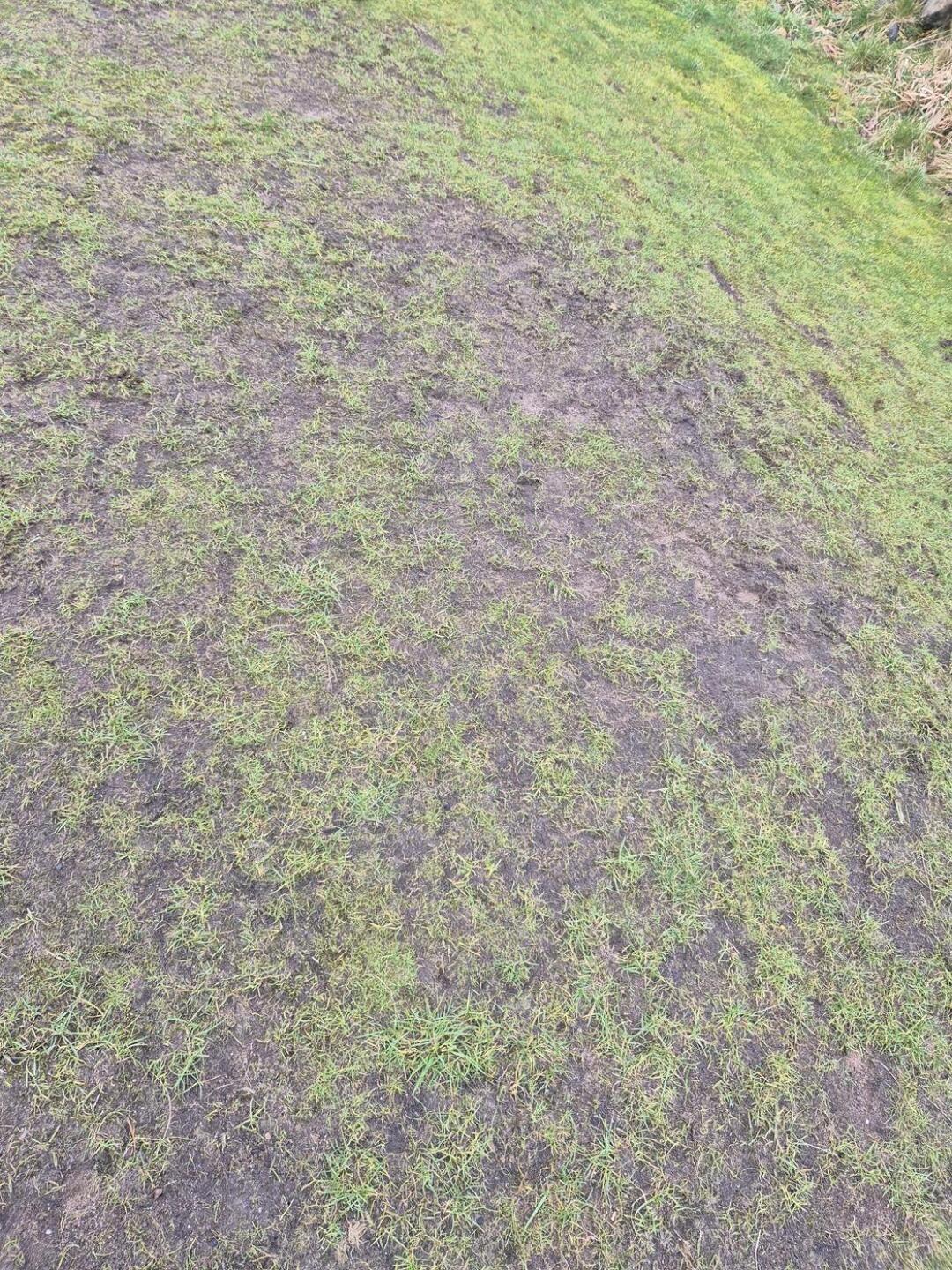 Bunkers (Photo submitted by e9WNufNJ2jQ3Zfmal0Ub on 03/17/2026)