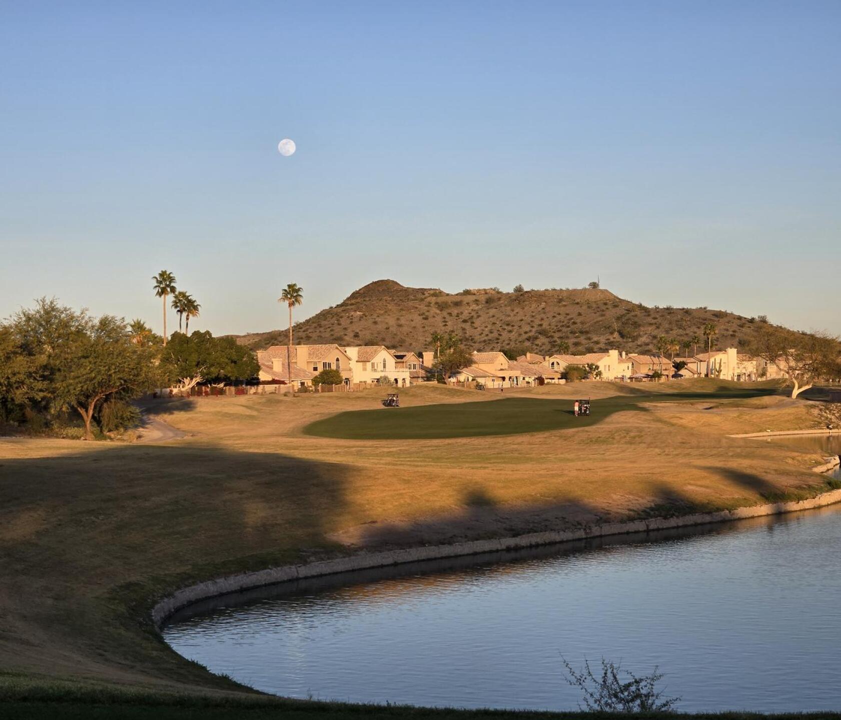 Full moon in background (Photo submitted by u314162532025 on 02/01/2026)