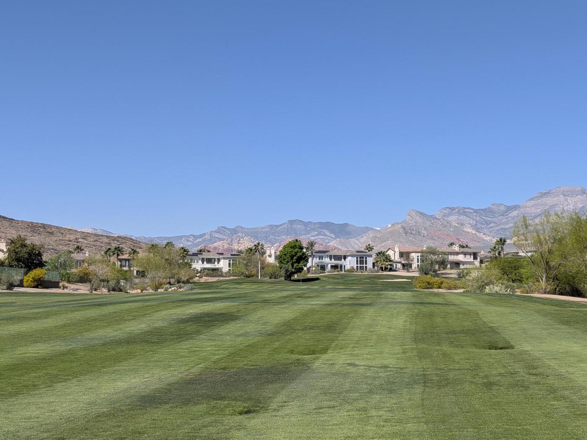 (Photo submitted by u314164367539 on 03/27/2026)