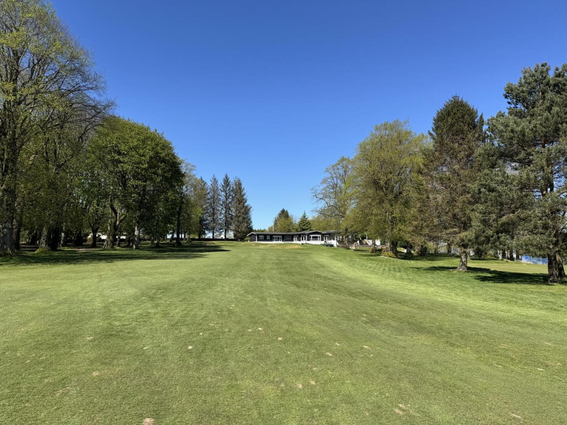 (Photo submitted by MackLunderstonGolfin on 05/01/2026)