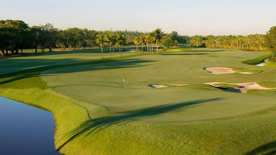 Red Tiger at Trump National Doral Miami