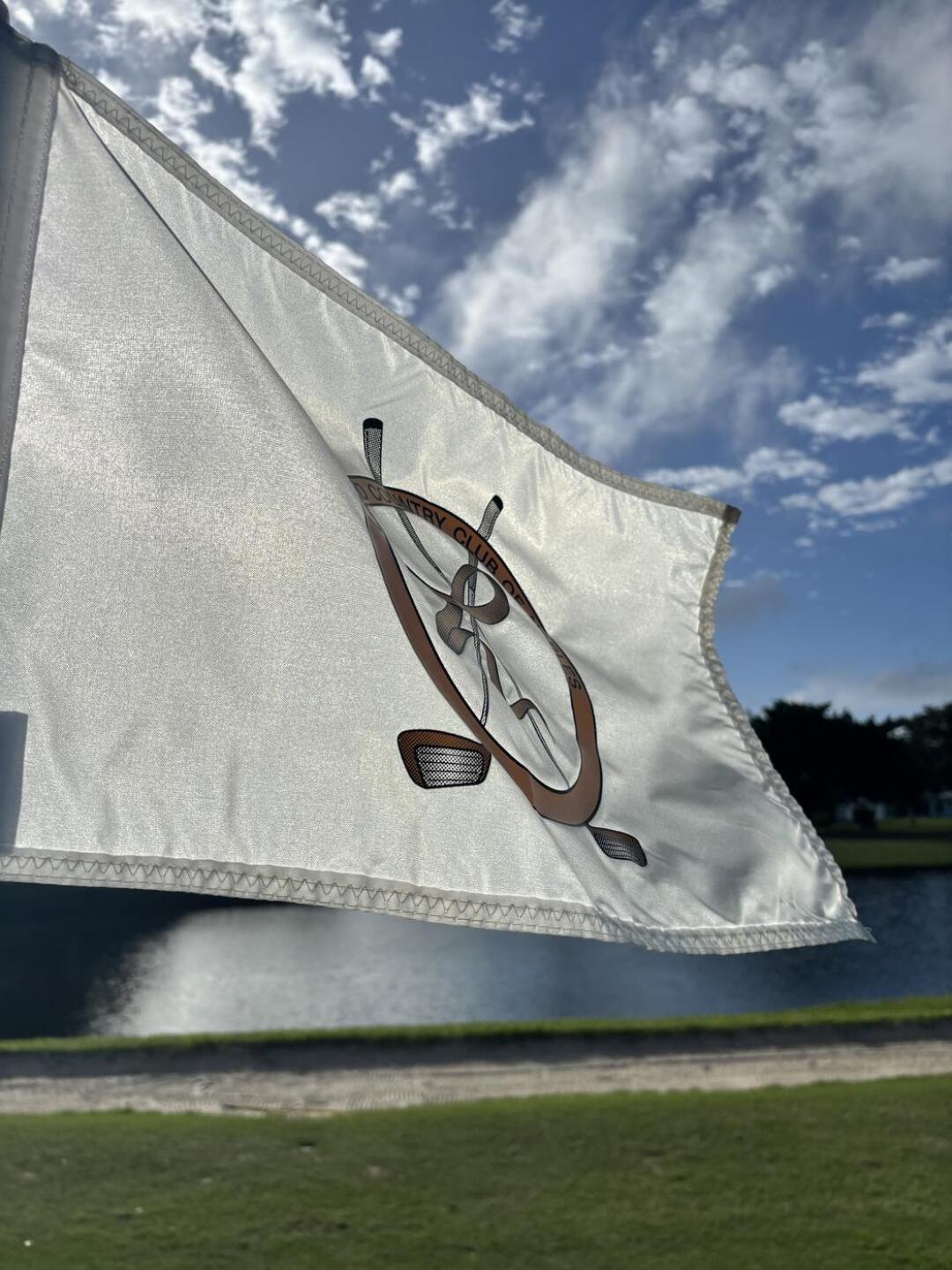 (Photo submitted by IdL5dvgyFWIlYk78feNk on 04/08/2026)