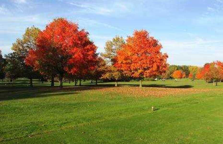 Coyote Run Golf Course in Flossmoor, Illinois, USA | GolfPass