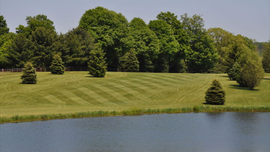 Country Meadows GC: #16