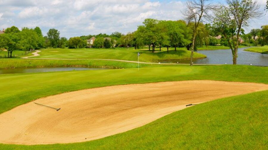 Royal Fox GC