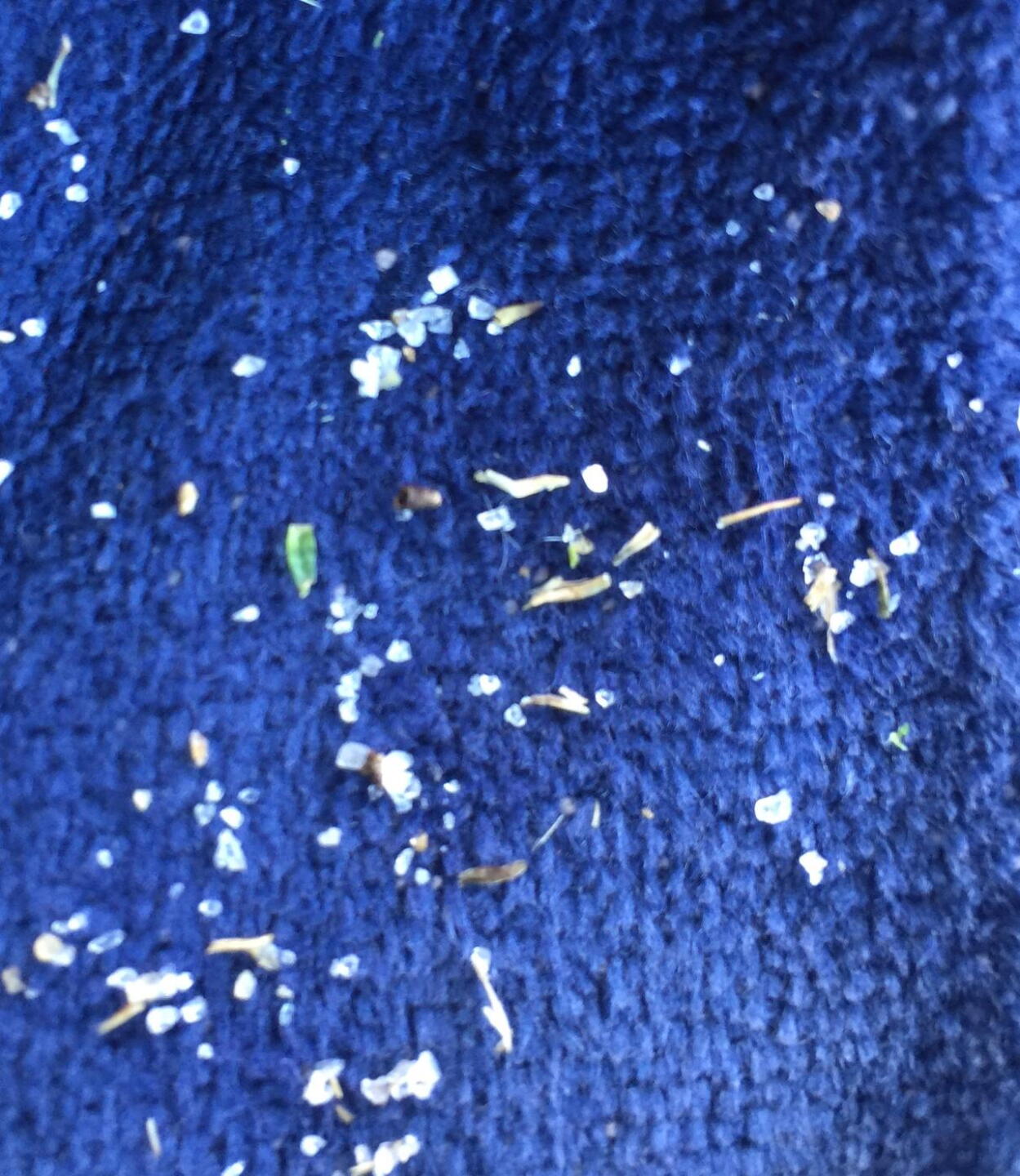 Sand looks like rock salt! (Photo submitted by u3210677 on 07/30/2019)