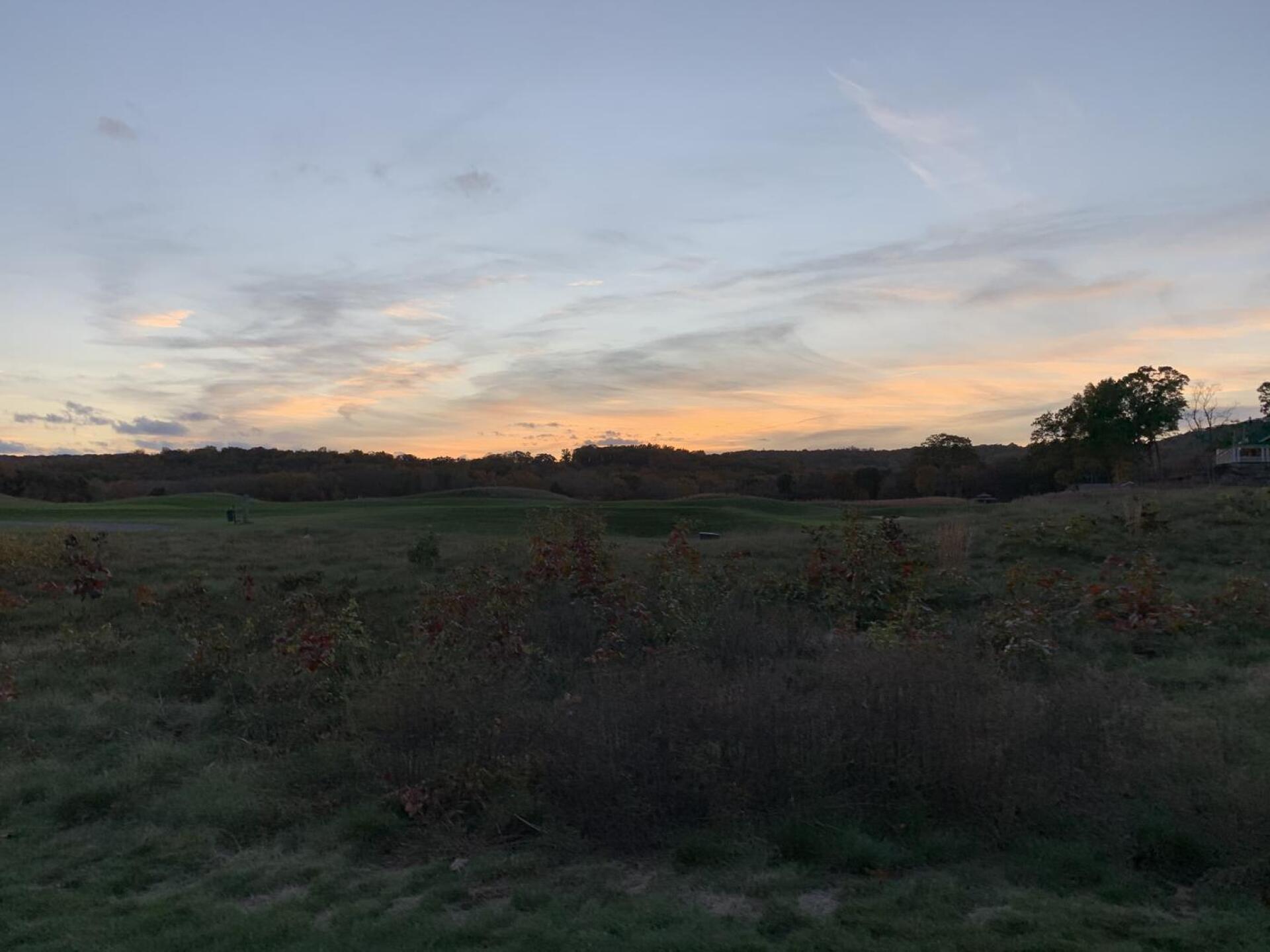 (Photo submitted by Nancy68 on 10/18/2020)